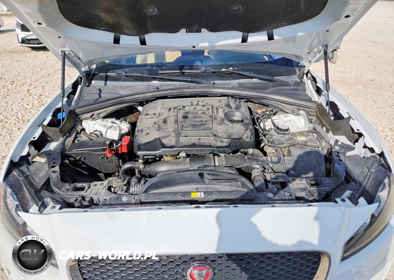 2018 Jaguar F-Pace Premium VIN:SADCJ2FX0JA265379 - 12