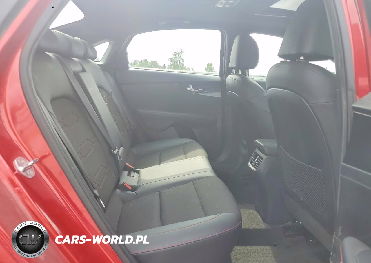 2020 Kia Forte Gt VIN:3KPF44AC7LE171385 - 10