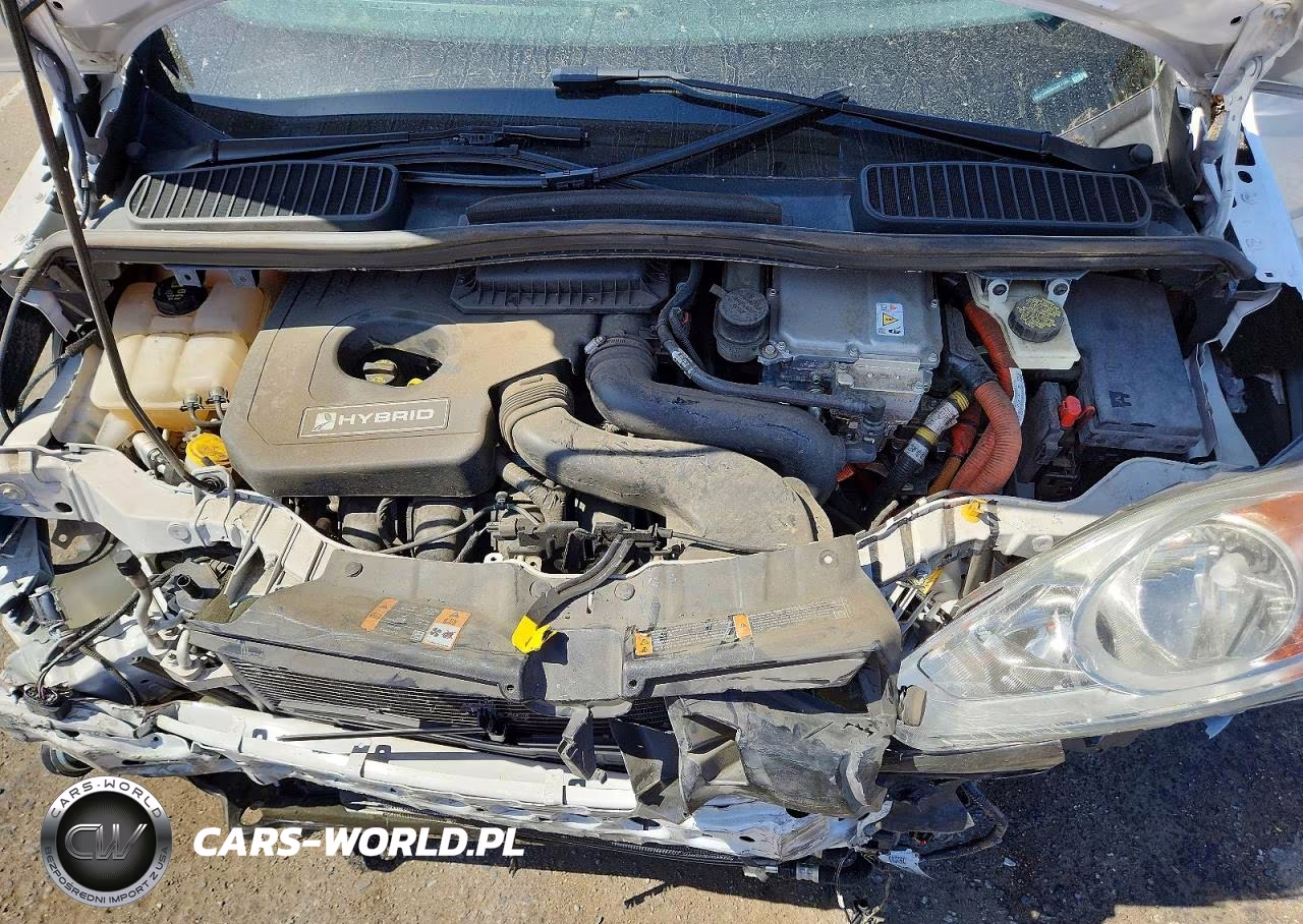 2014 Ford C-Max Sel VIN:1FADP5BU0EL521192 - 11