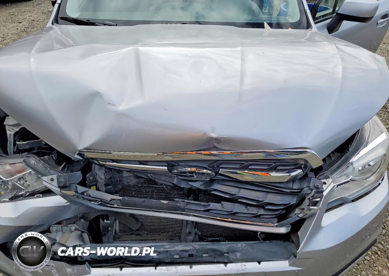2018 Subaru Forester 2.5I Premium VIN:JF2SJAGC6JH578037 - 12