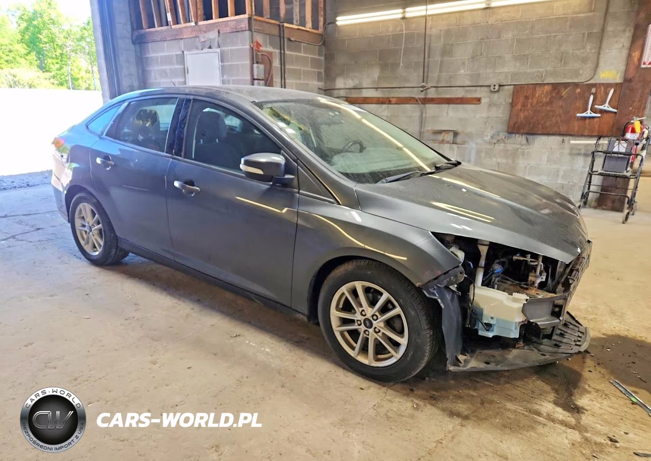 2016 Ford Focus Se VIN:1FADP3F23GL390419 - 4