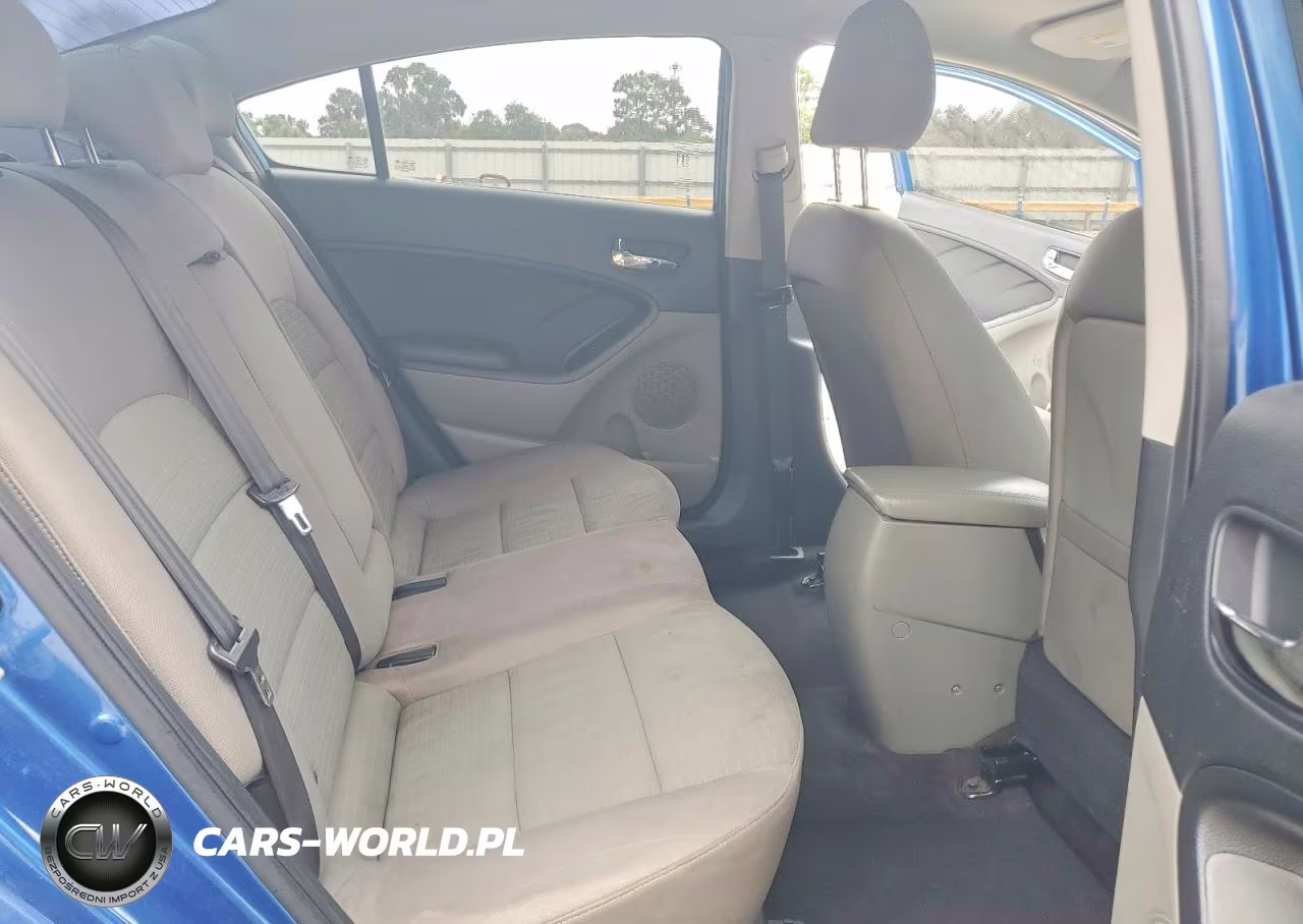 2015 Kia Forte Lx VIN:KNAFX4A65F5332086 - 10