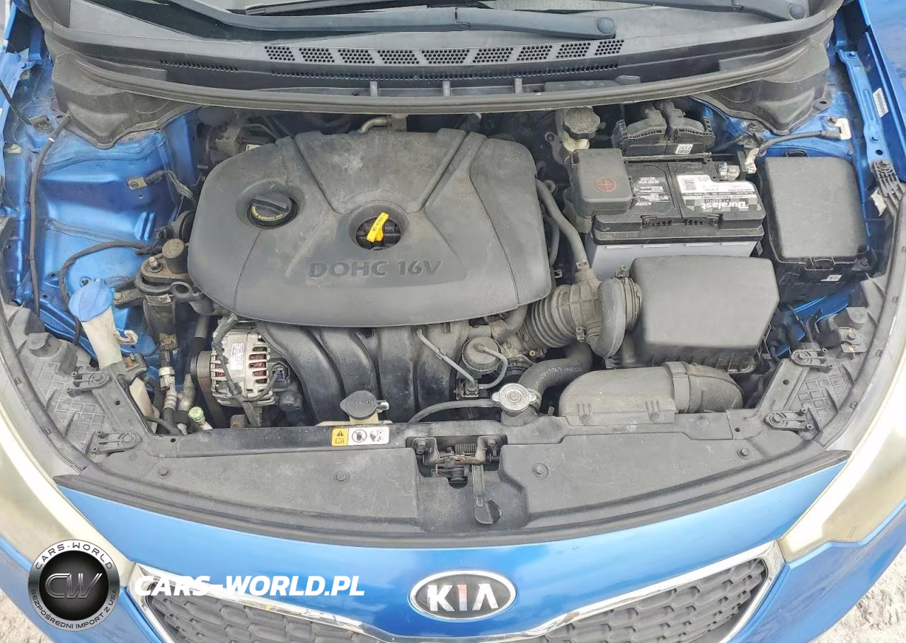2015 Kia Forte Lx VIN:KNAFX4A65F5332086 - 11