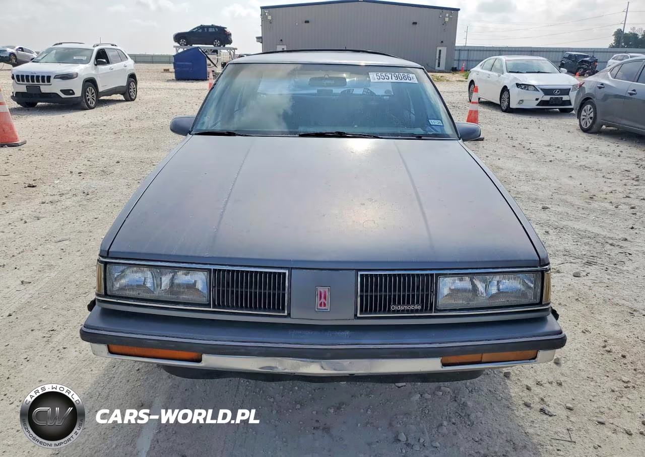 1989 Oldsmobile Delta 88 Royale Brougham VIN:1G3HY54C3K1816436 - 5