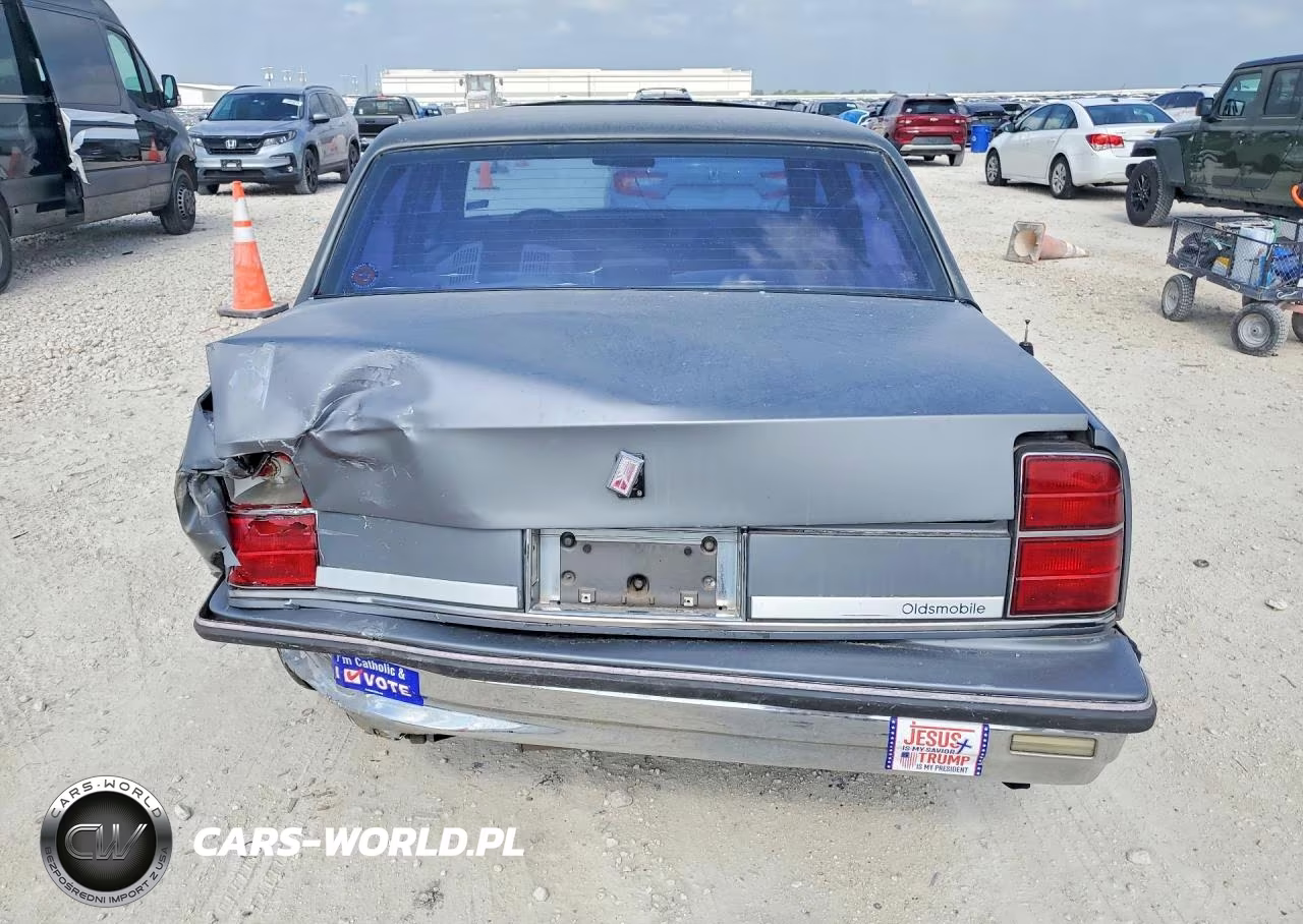 1989 Oldsmobile Delta 88 Royale Brougham VIN:1G3HY54C3K1816436 - 6