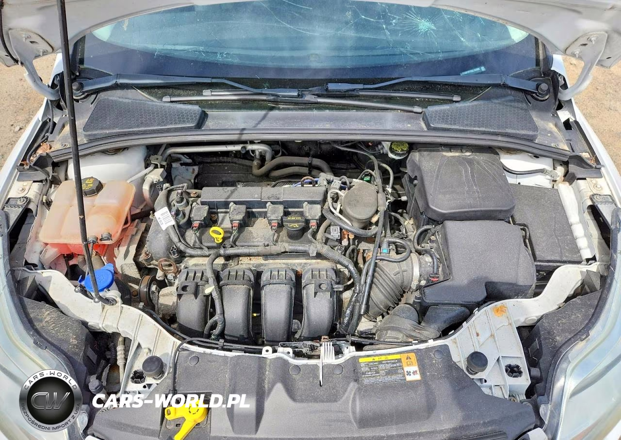 2014 Ford Focus Se VIN:1FADP3F25EL133386 - 11