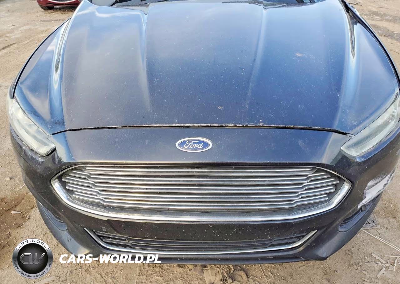 2013 Ford Fusion Titanium VIN:3FA6P0K95DR317382 - 11