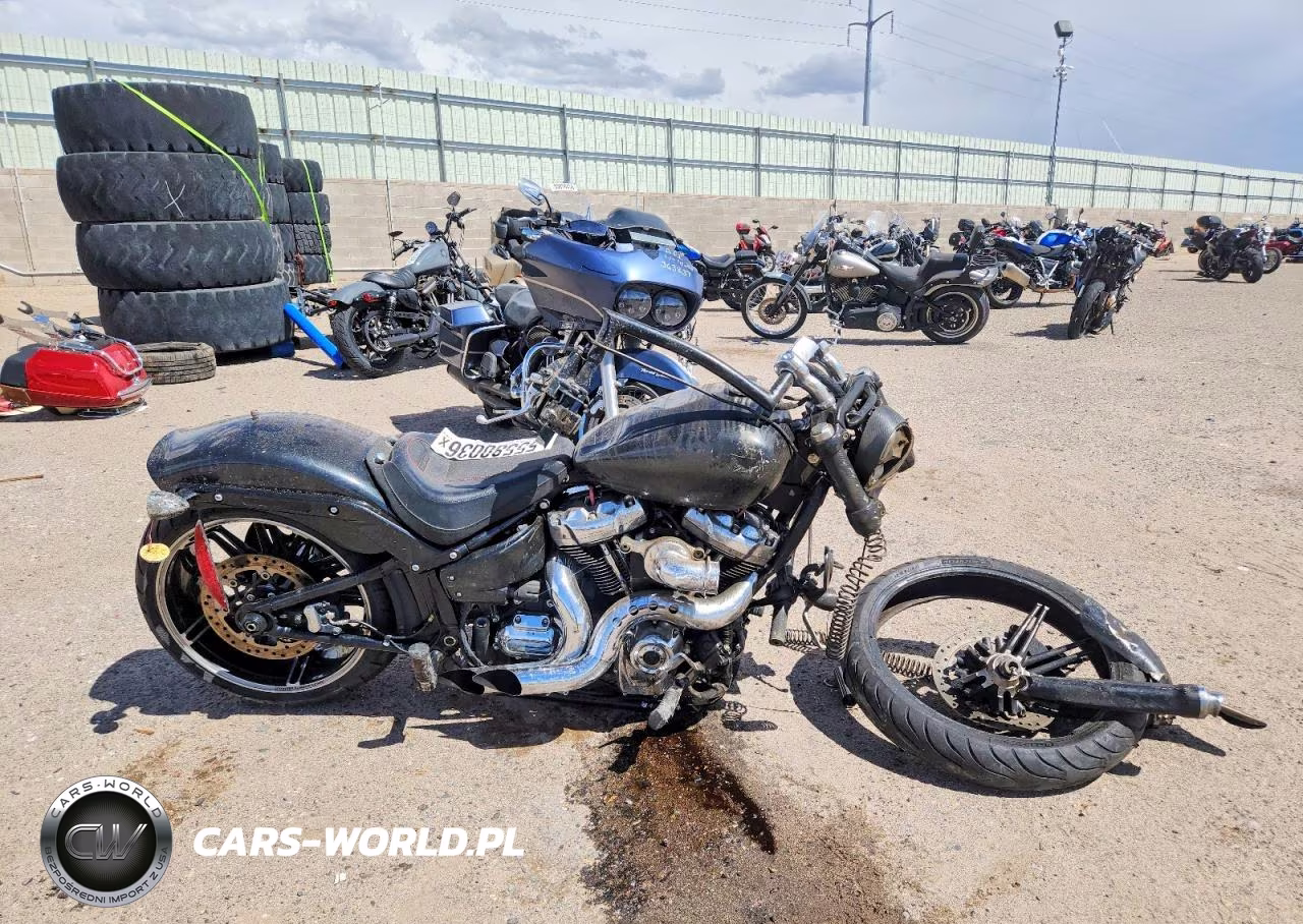 2018 Harley-Davidson Fxbrs Breakout 114 – zdjęcie 1 z 9