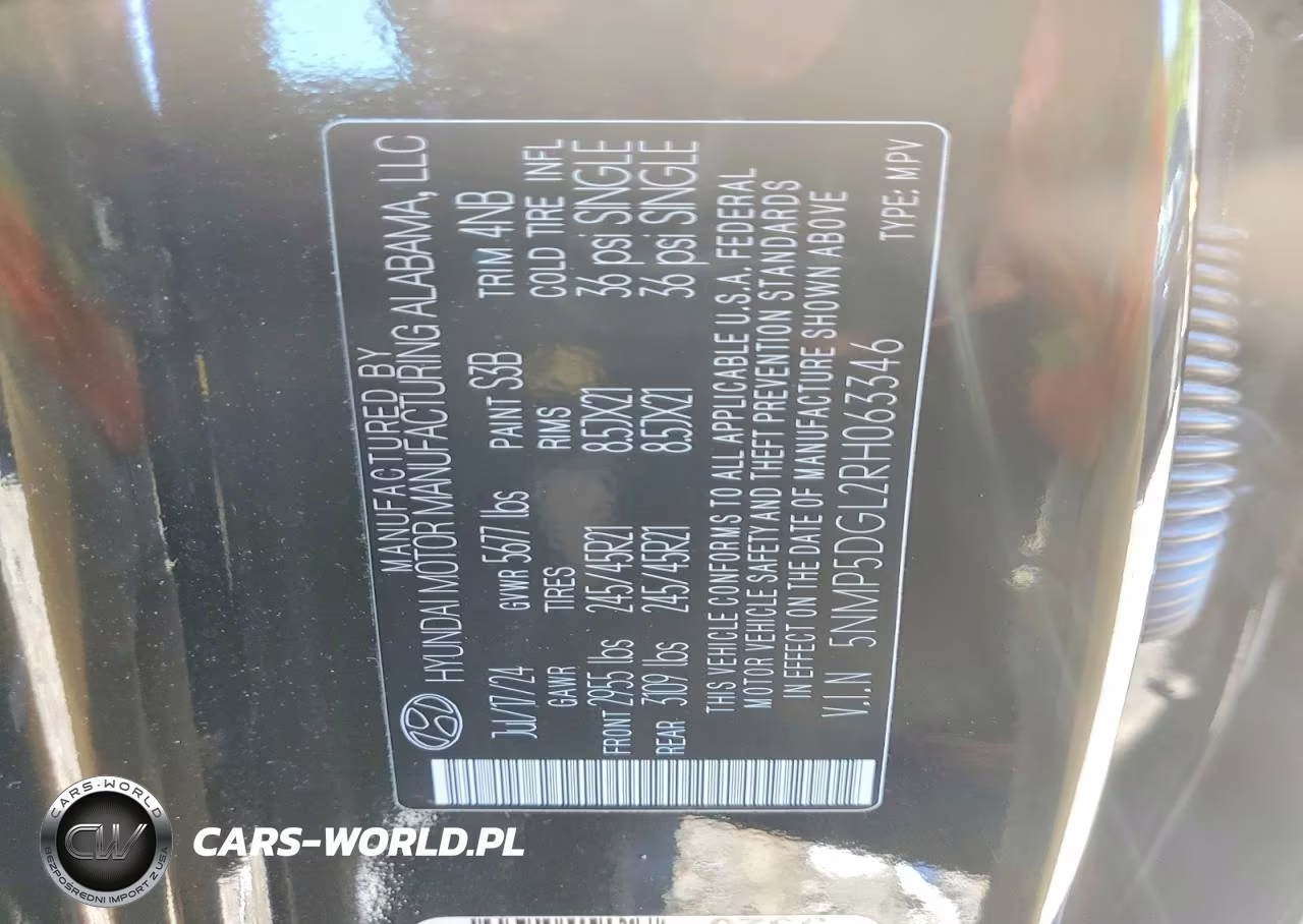 2024 Hyundai Santa Fe Calligraphy VIN:5NMP5DGL2RH063346 - 13