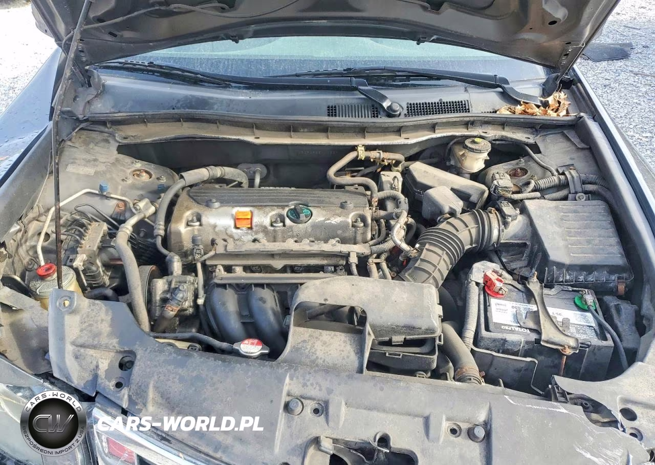 2010 Honda Accord Lx VIN:1HGCP2F35AA065901 - 11