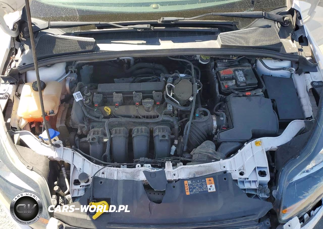 2014 Ford Focus Titanium VIN:1FADP3J28EL321827 - 11