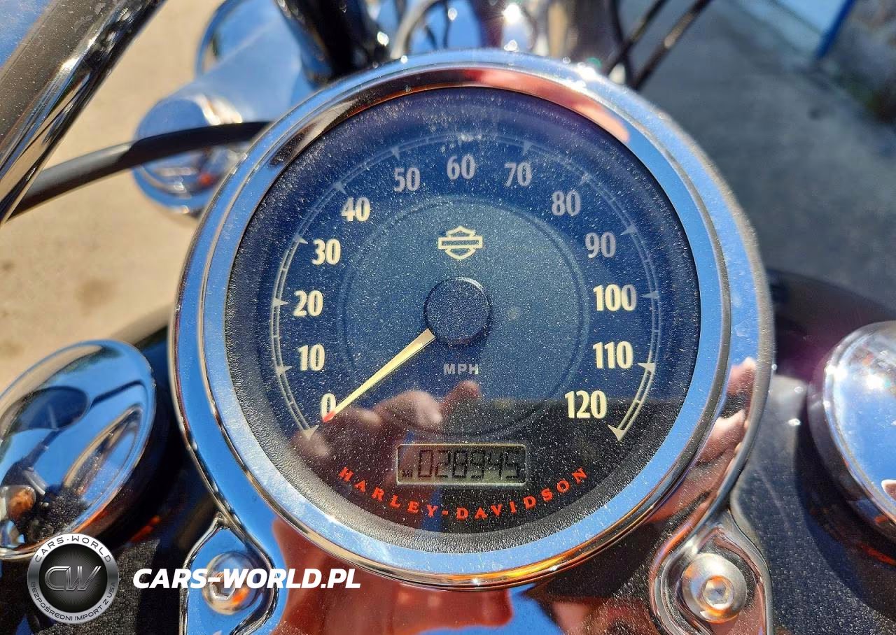 2013 Harley-Davidson Fxdf Dyna Fat Bob VIN:1HD1GYM14DC332284 - 7