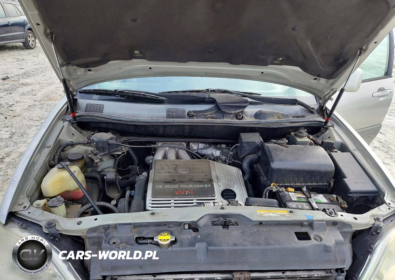 2000 Lexus Rx 300 VIN:JT6GF10U6Y0081353 - 11
