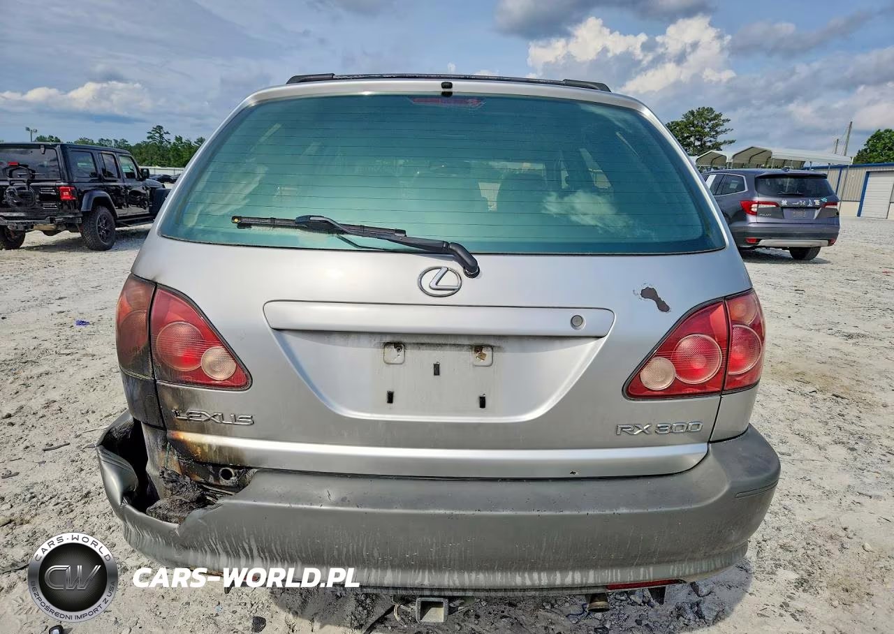 2000 Lexus Rx 300 VIN:JT6GF10U6Y0081353 - 6