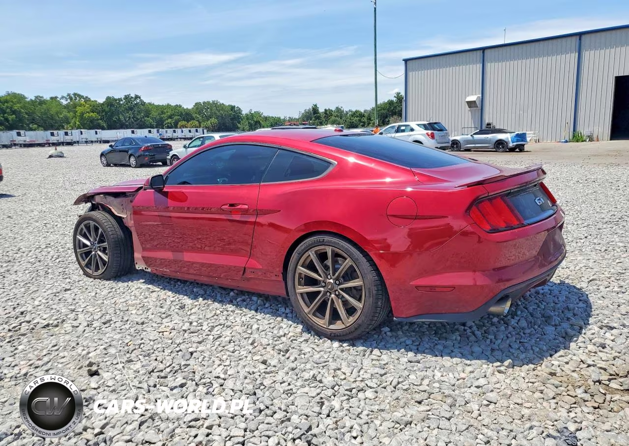2017 Ford Mustang Gt VIN:1FA6P8CF0H5280768 - 2