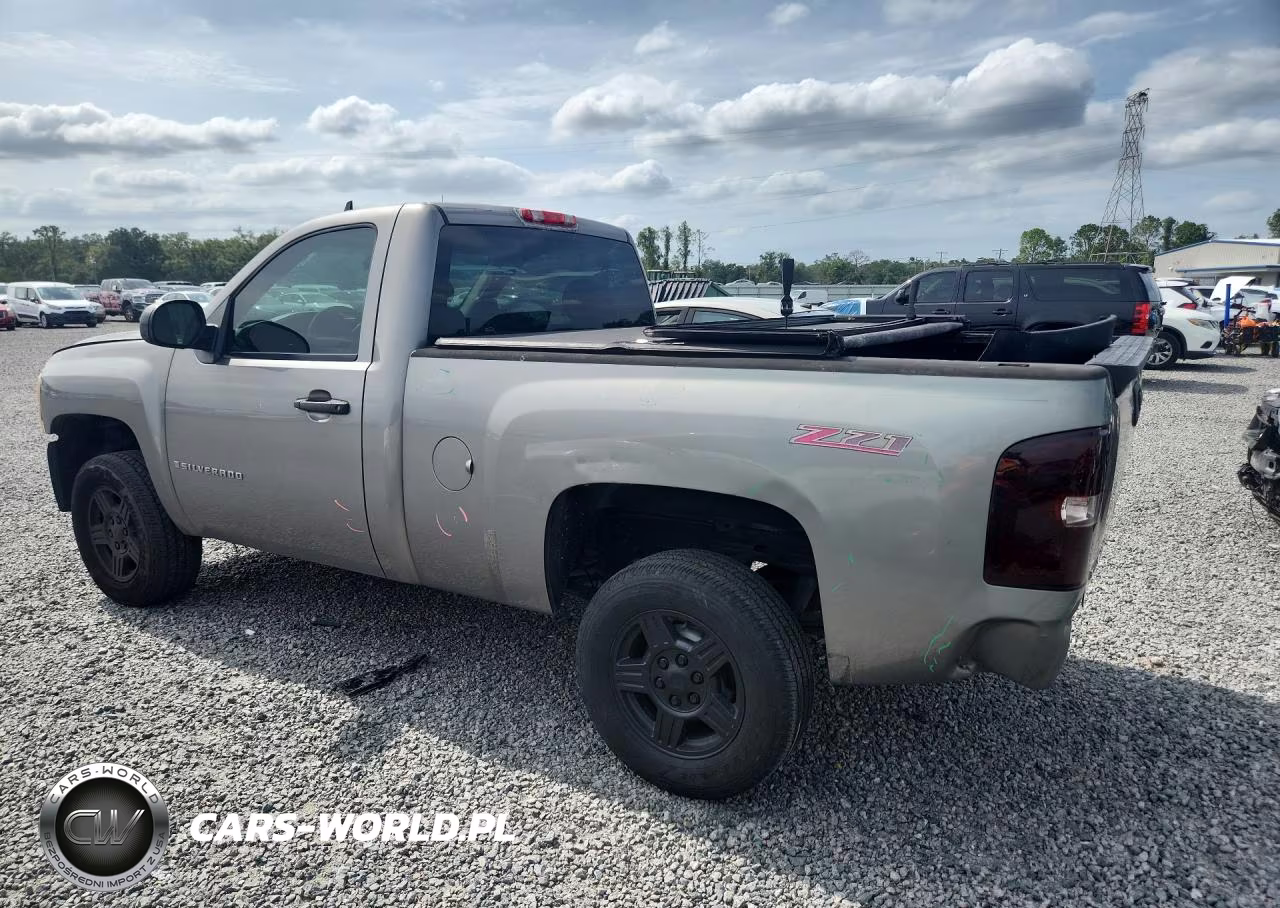 2009 Chevrolet Silverado C1500 VIN:1GCEC14X89Z228301 - 2