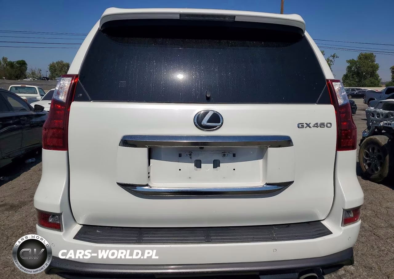2020 Lexus Gx 460 Premium VIN:JTJAM7BX5L5245814 - 6