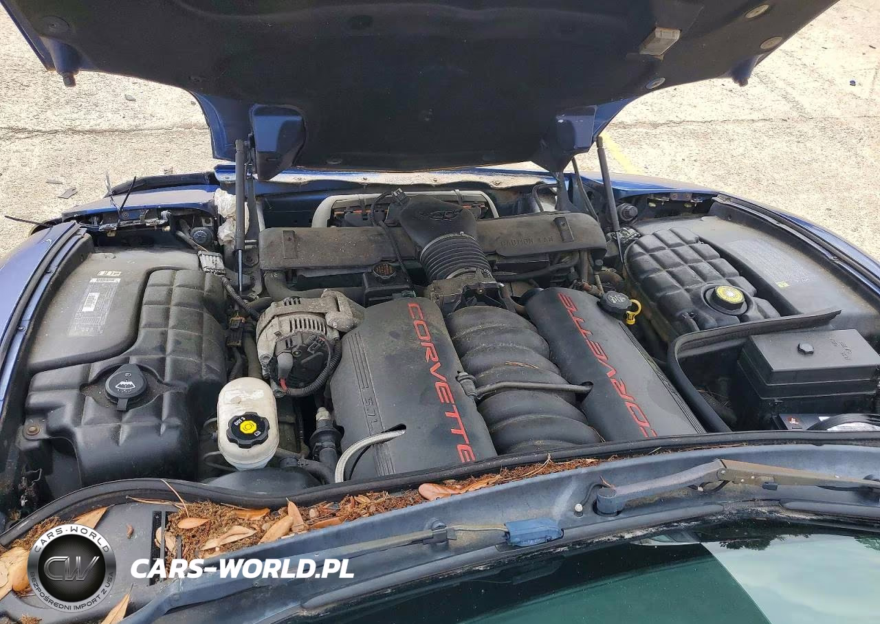 2003 Chevrolet Corvette VIN:1G1YY22G335112924 - 11