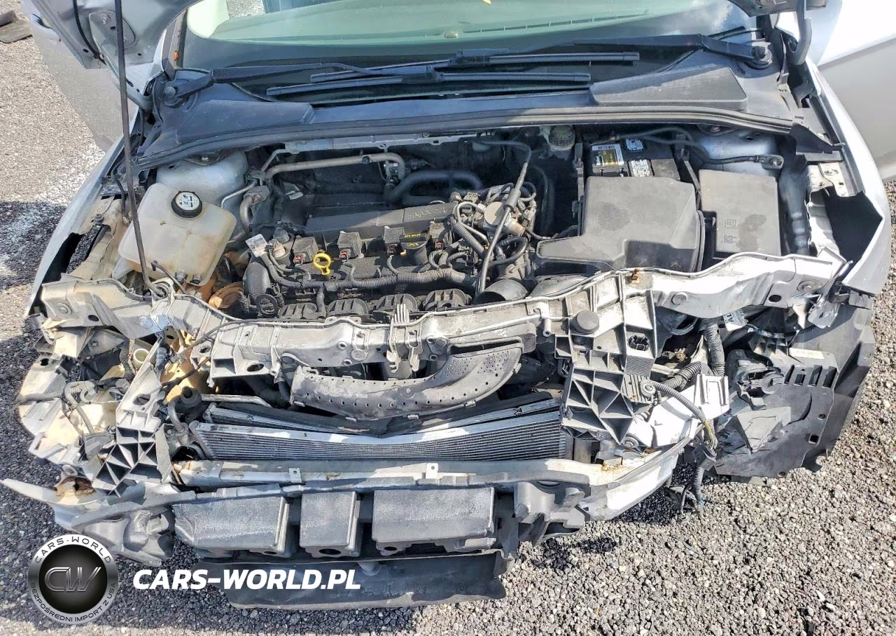 2013 Ford Focus Se VIN:1FADP3K20DL247963 - 11
