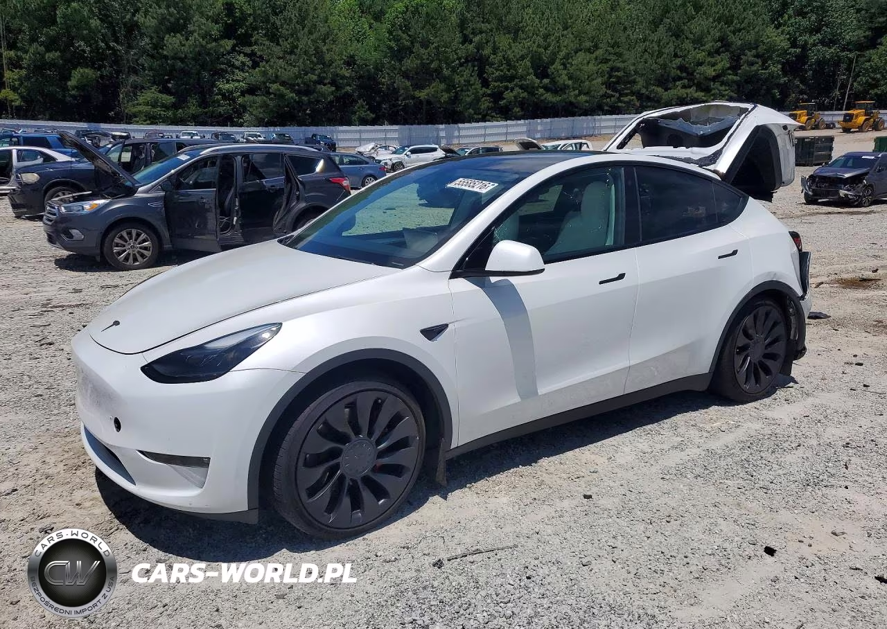 2023 Tesla Model Y – zdjęcie 1 z 12