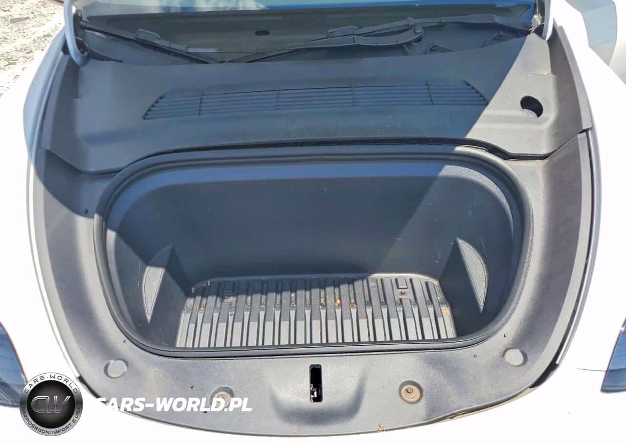 2023 Tesla Model Y VIN:7SAYGDEF2PF761520 - 11