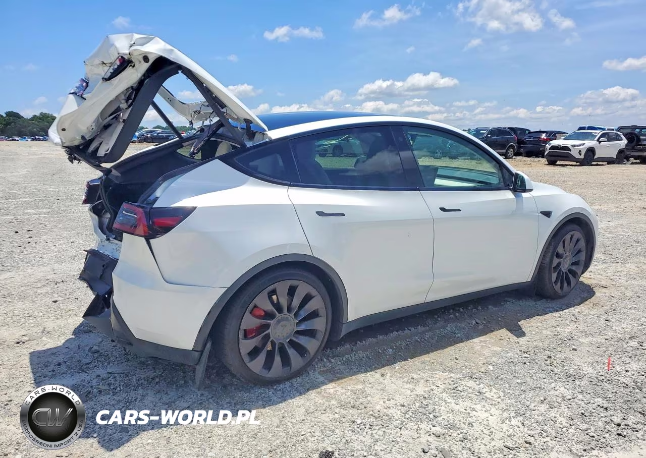 2023 Tesla Model Y VIN:7SAYGDEF2PF761520 - 3