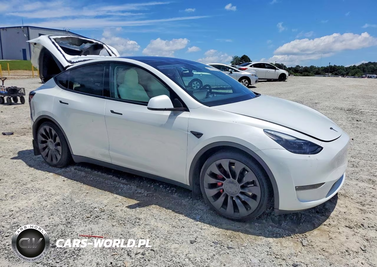 2023 Tesla Model Y VIN:7SAYGDEF2PF761520 - 4