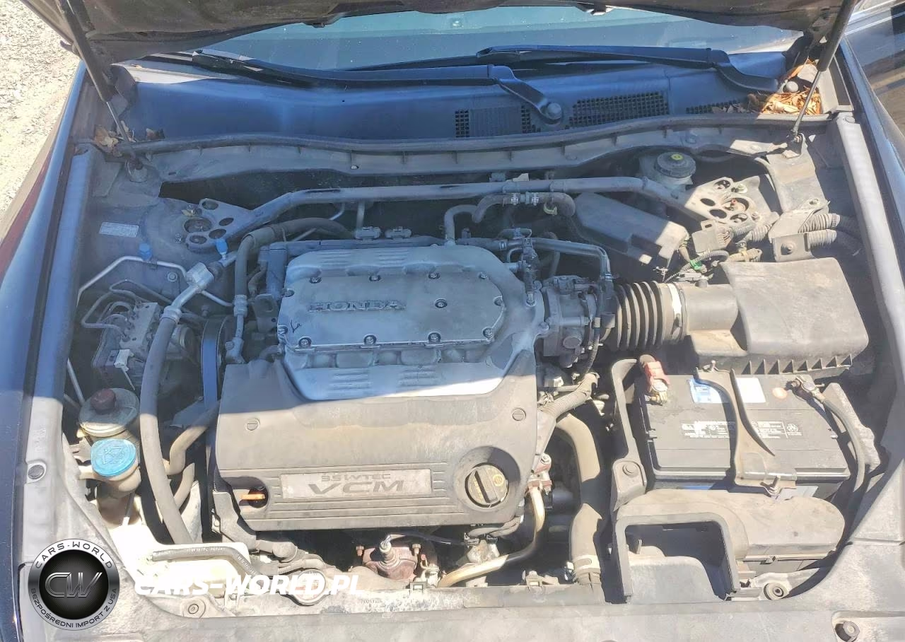 2011 Honda Accord Exl VIN:1HGCP3F82BA013371 - 11