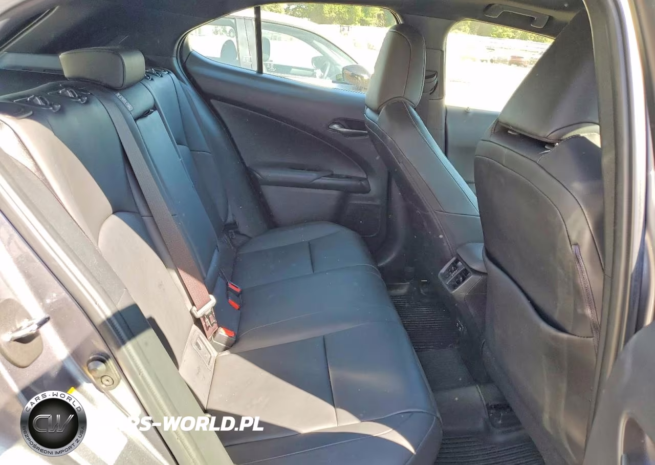 2019 Lexus Ux 250H VIN:JTHU9JBH0K2011098 - 10