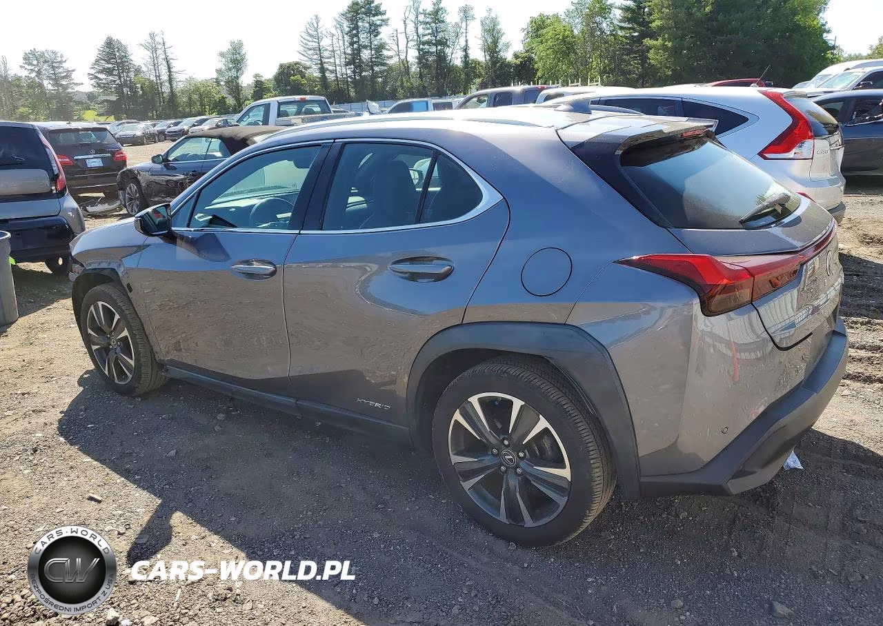 2019 Lexus Ux 250H VIN:JTHU9JBH0K2011098 - 2