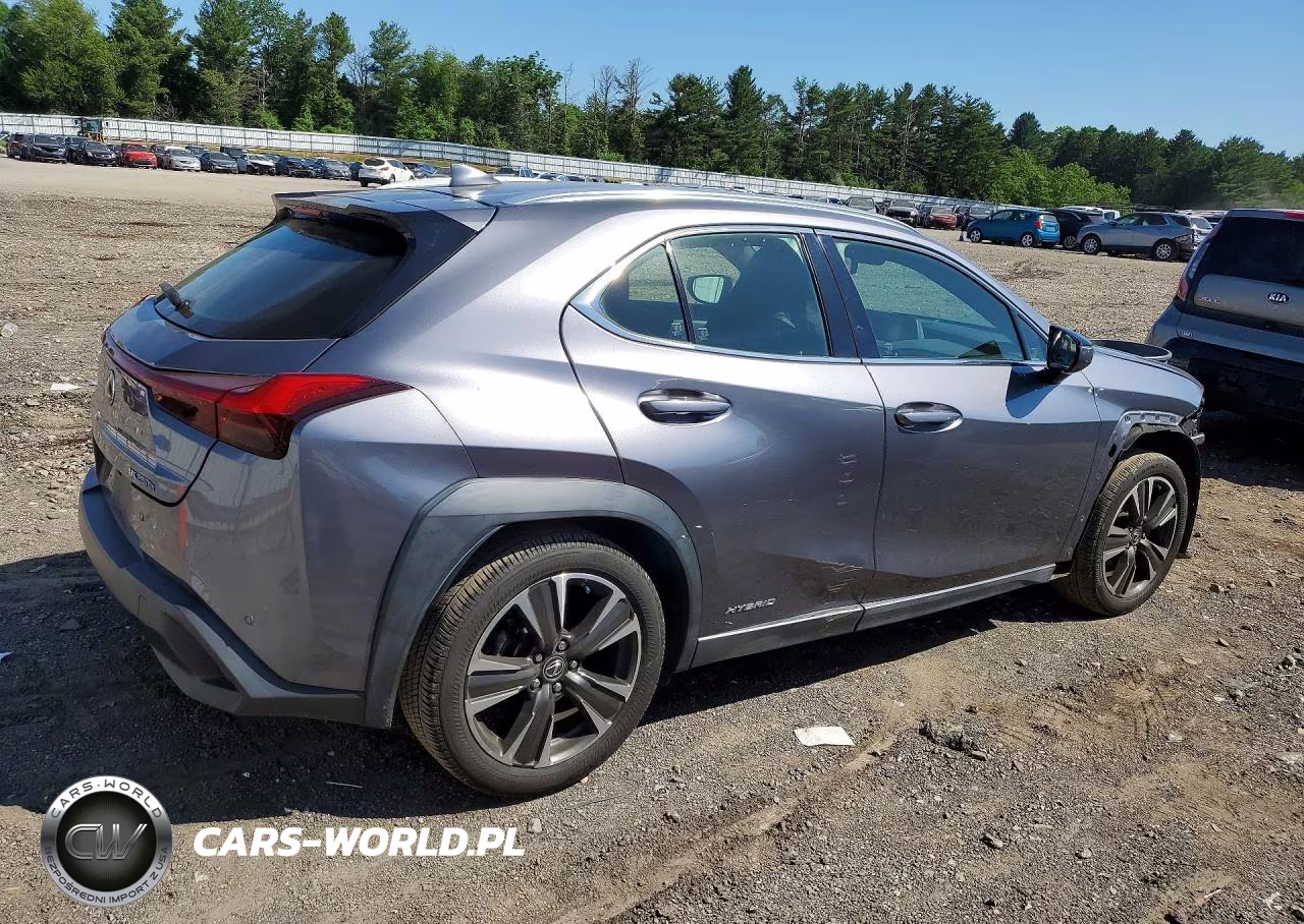 2019 Lexus Ux 250H VIN:JTHU9JBH0K2011098 - 3