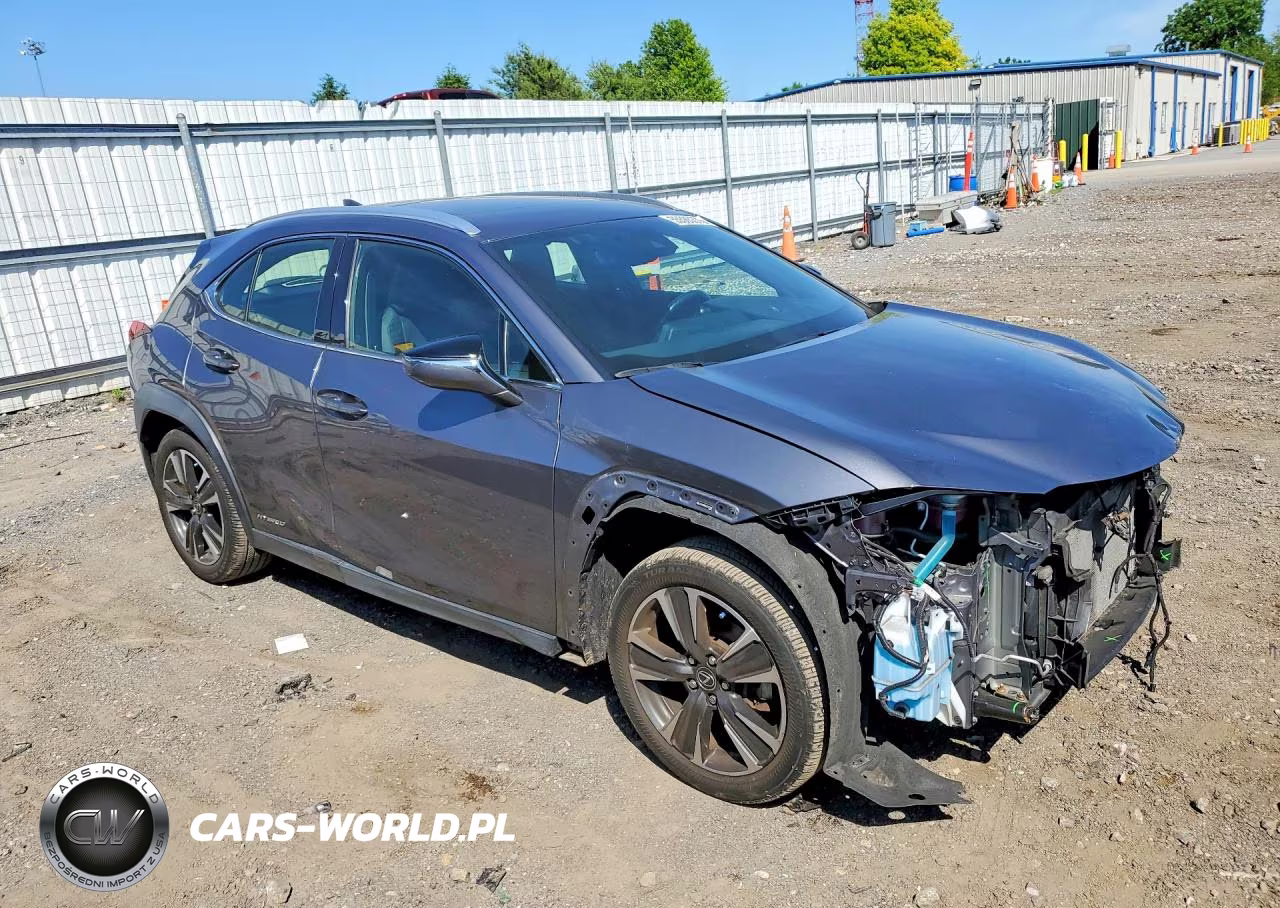 2019 Lexus Ux 250H VIN:JTHU9JBH0K2011098 - 4