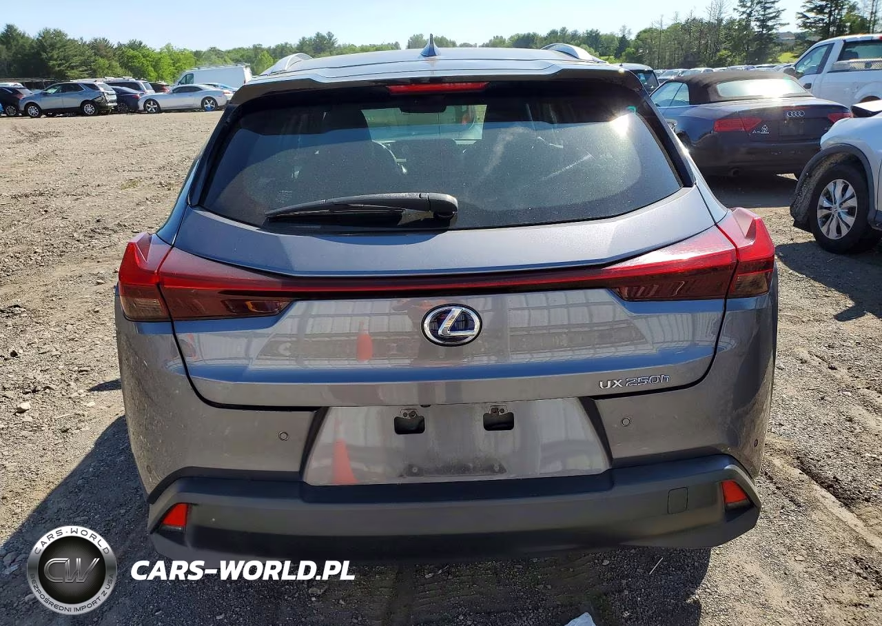 2019 Lexus Ux 250H VIN:JTHU9JBH0K2011098 - 6