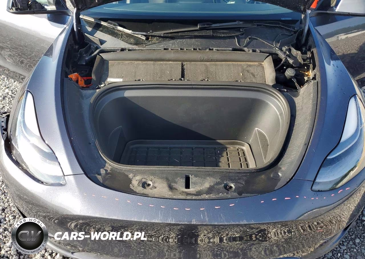 2023 Tesla Model Y VIN:7SAYGDEE2PA192091 - 12