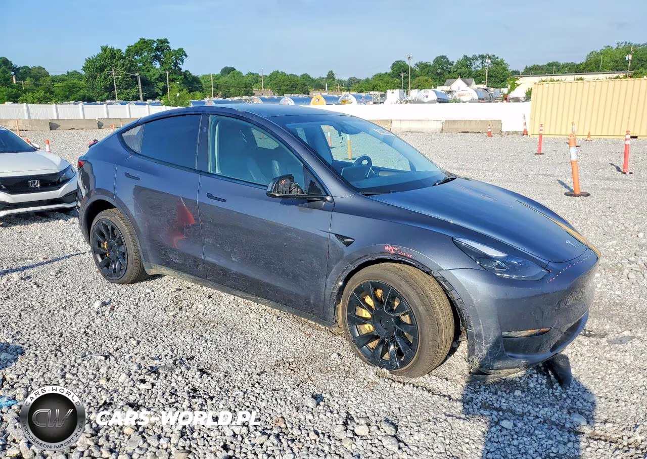 2023 Tesla Model Y VIN:7SAYGDEE2PA192091 - 4
