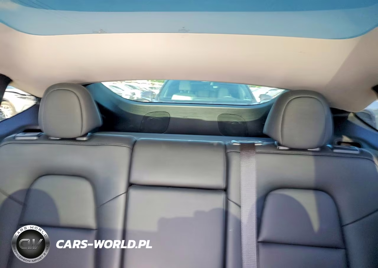 2023 Tesla Model Y VIN:7SAYGDEE7PA125955 - 10