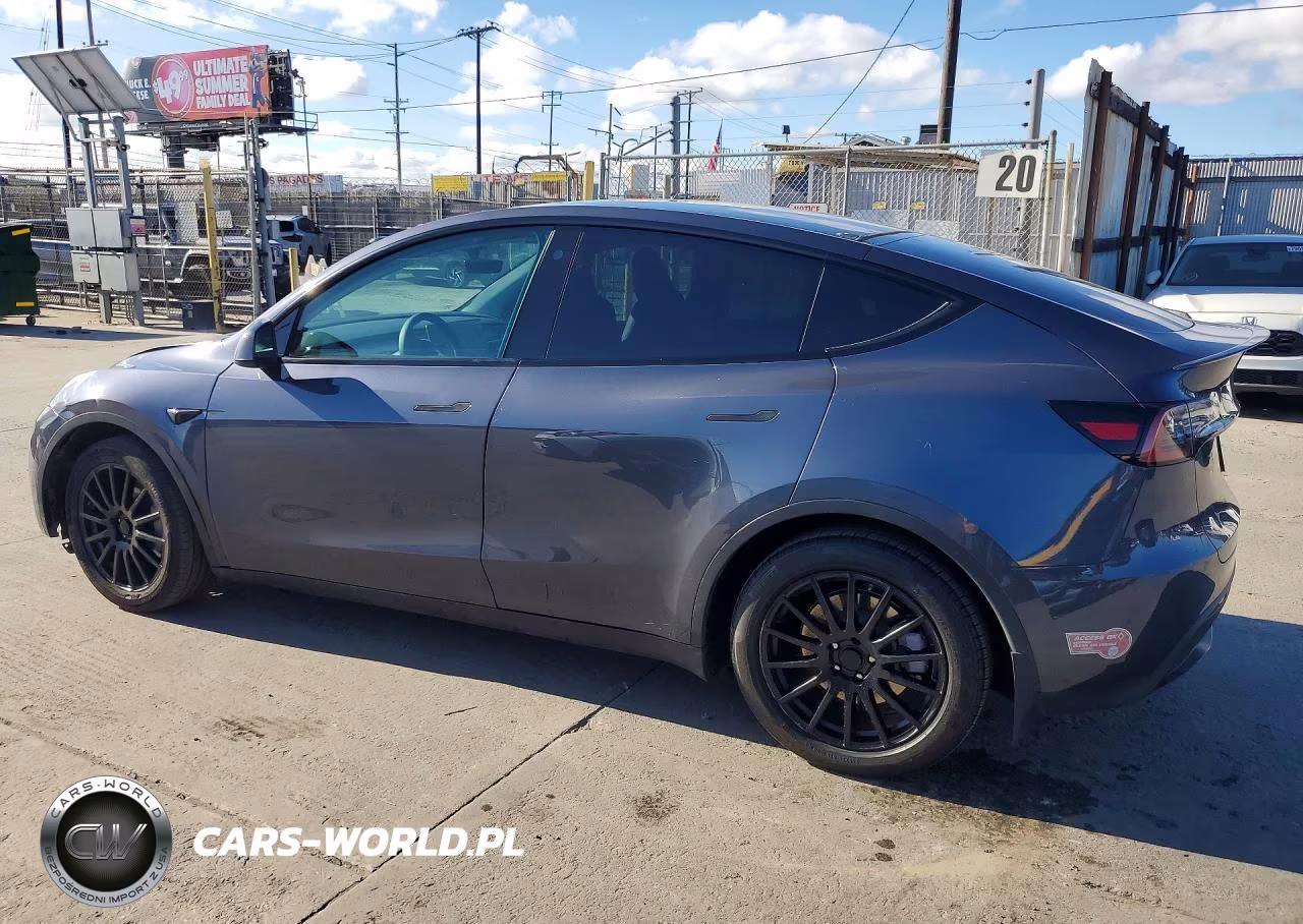 2023 Tesla Model Y VIN:7SAYGDEE7PA125955 - 2