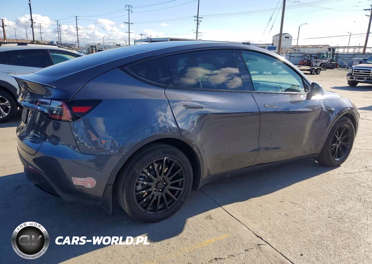 2023 Tesla Model Y VIN:7SAYGDEE7PA125955 - 3