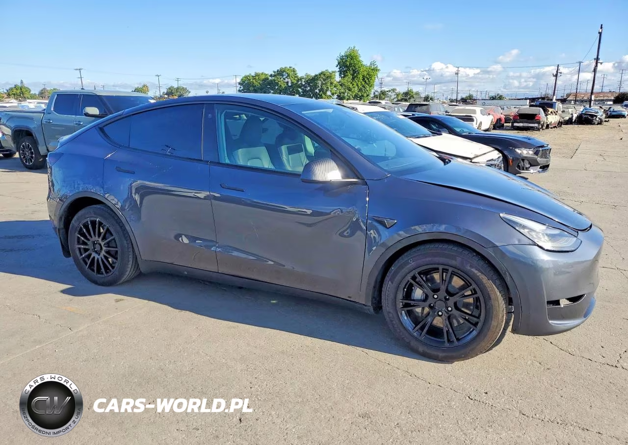 2023 Tesla Model Y VIN:7SAYGDEE7PA125955 - 4