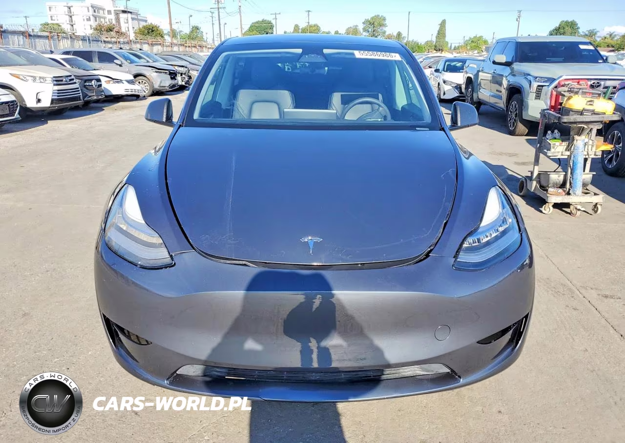 2023 Tesla Model Y VIN:7SAYGDEE7PA125955 - 5