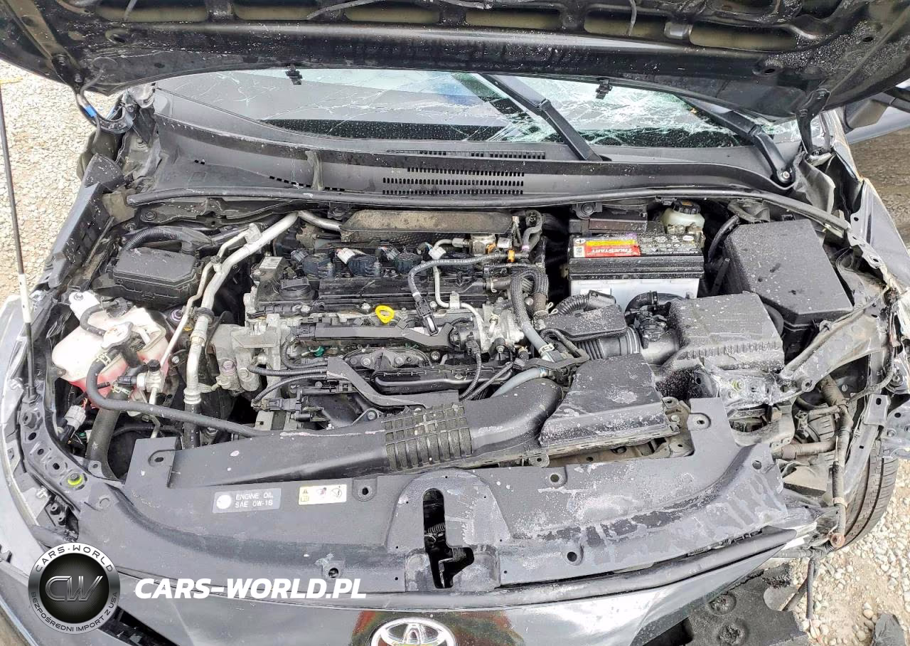 2021 Toyota Corolla Se VIN:JTDP4MCE9MJ057542 - 11