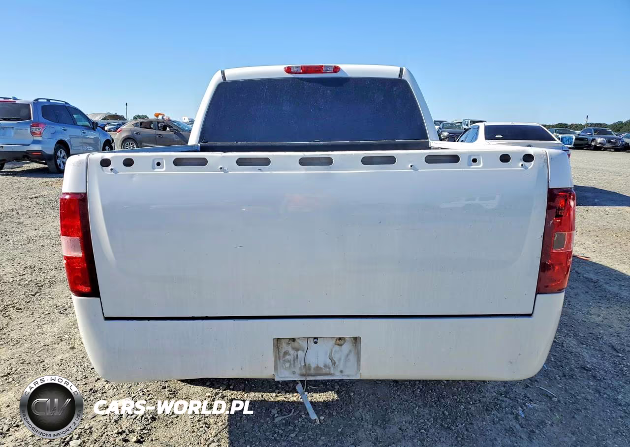 2010 Chevrolet Silverado C1500 Lt VIN:3GCRCSEA0AG168519 - 6