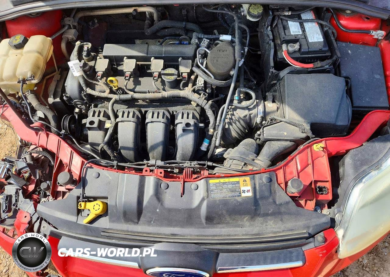 2014 Ford Focus Se VIN:1FADP3K29EL203249 - 11