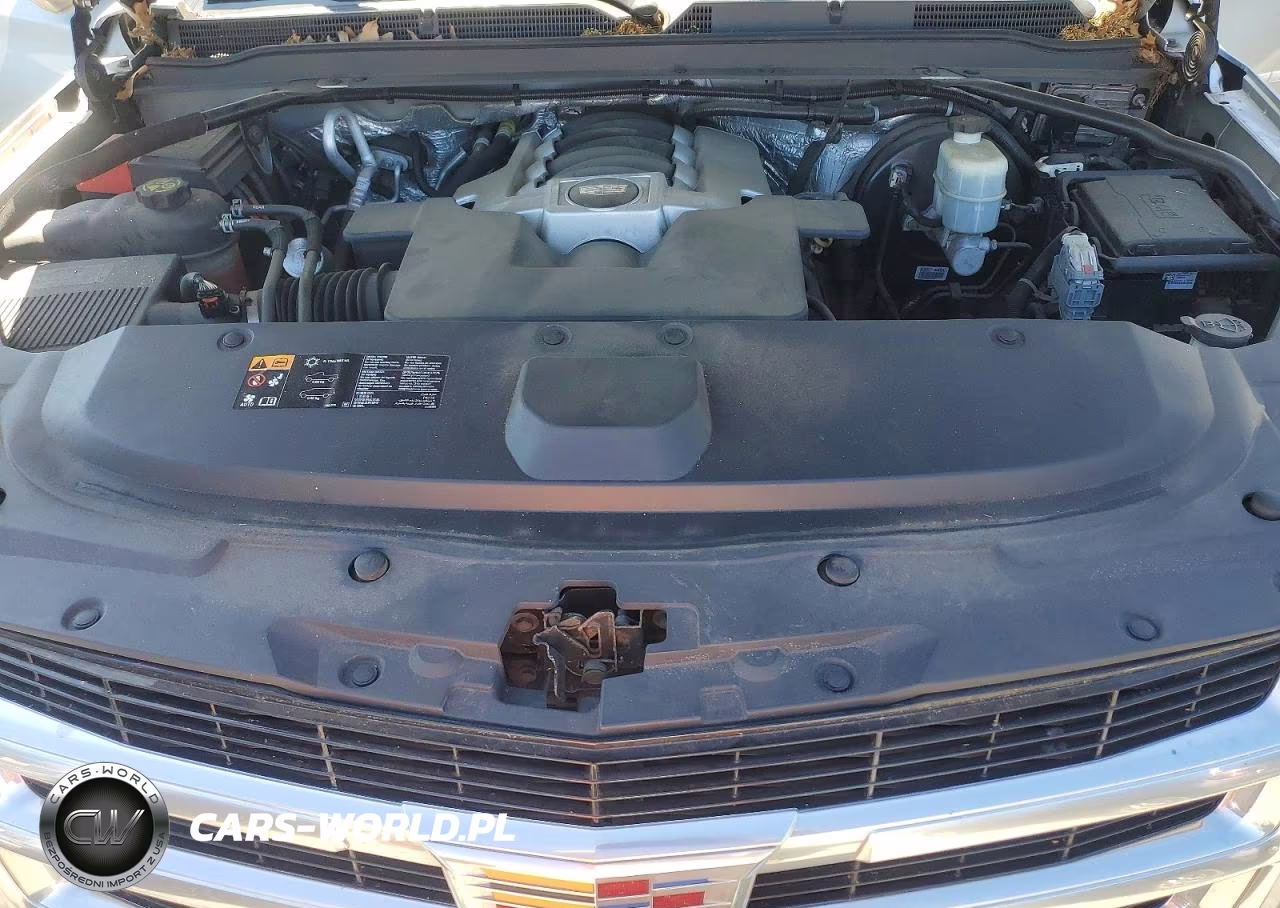 2015 Cadillac Escalade Premium VIN:1GYS4NKJXFR580467 - 12