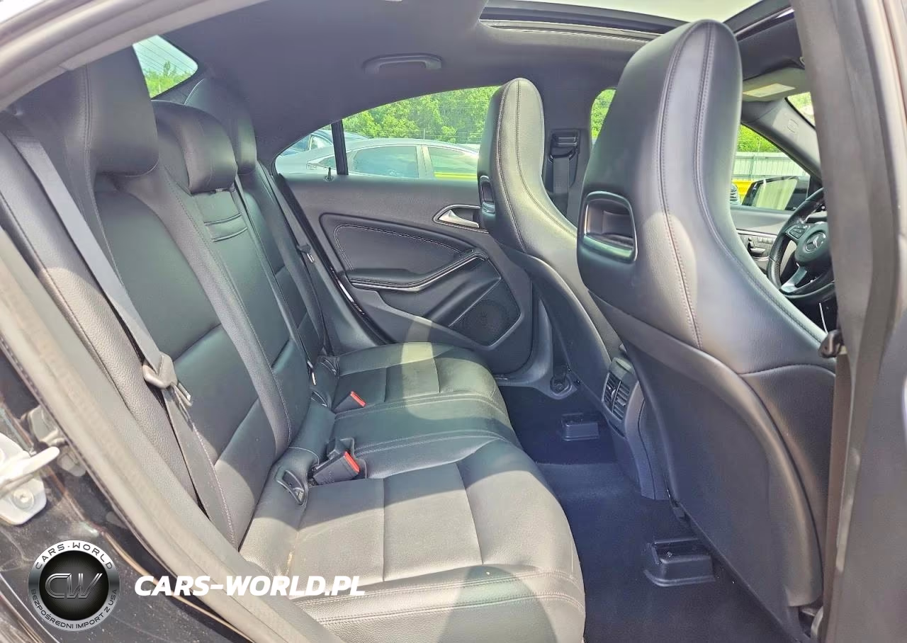 2015 Mercedes-Benz Cla 250 VIN:WDDSJ4EBXFN163389 - 10