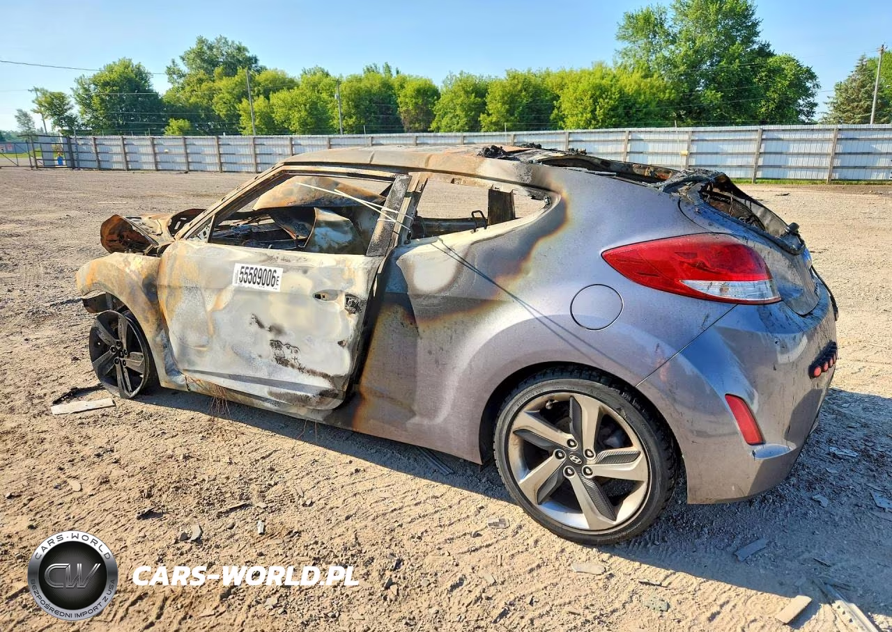 2016 Hyundai Veloster Base (M6) VIN:KMHTC6AD4GU303242 - 2
