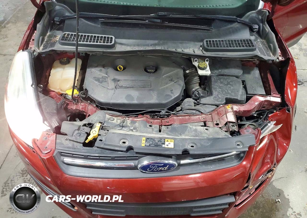 2014 Ford Escape Se VIN:1FMCU0G92EUA88454 - 12