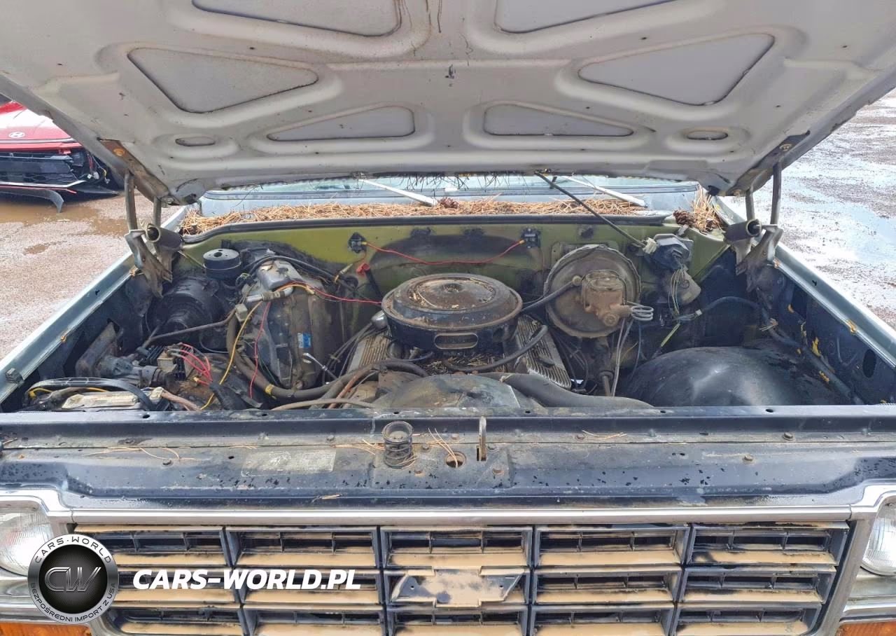 1973 Chevrolet 1500 Class VIN:CCZ243F460142 - 11