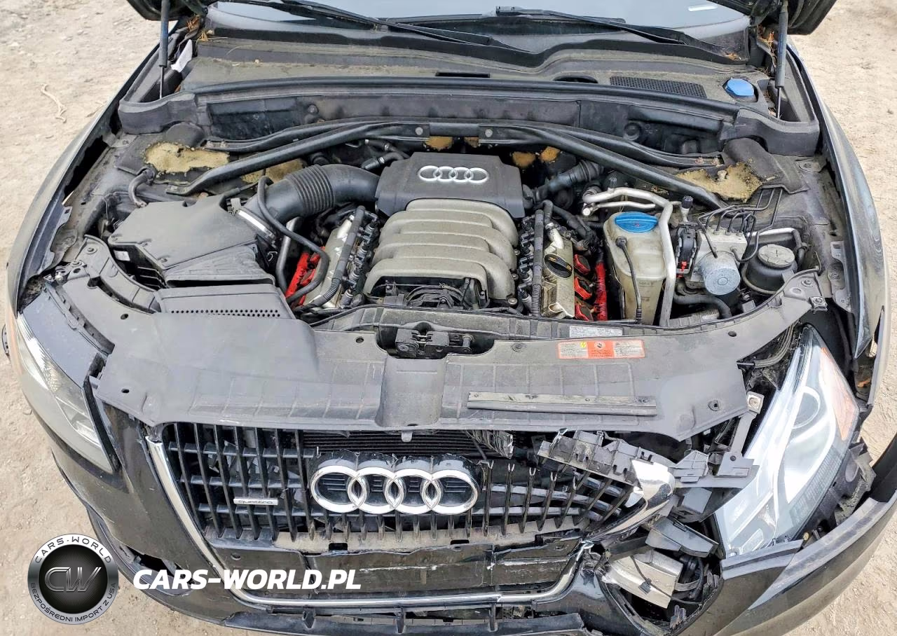 2010 Audi Q5 Premium Plus VIN:WA1LKAFP0AA021261 - 12