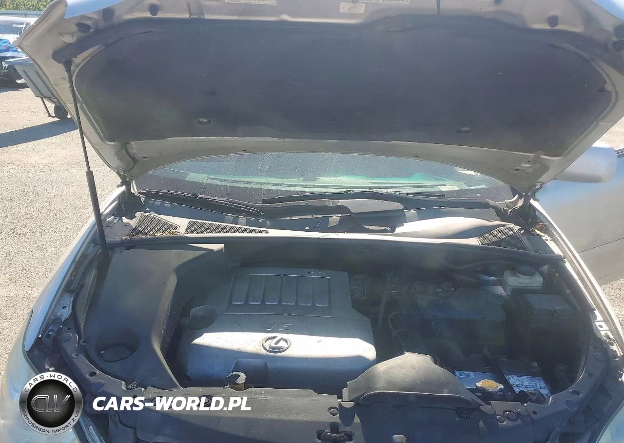 2007 Lexus Rx 350 VIN:2T2HK31U07C046312 - 12